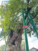 二里村 
