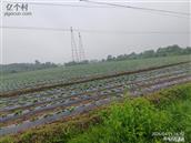 安徽省,宣城市,郎溪县,飞鲤镇,秀水村