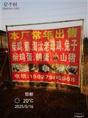 河北省,邯郸市,永年区,讲武乡,小北汪一村