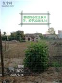 河北省,邯郸市,永年区,讲武乡,小北汪一村