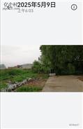 河北省,邯郸市,永年区,讲武乡,石北汪村