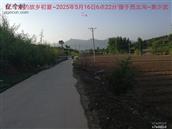 辽宁省,朝阳市,龙城区,半拉山街道,半拉山村