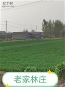 山东省,菏泽市,郓城县,玉皇庙镇,林庄村