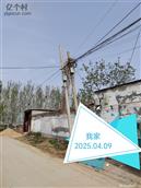 山东省,菏泽市,郓城县,玉皇庙镇,林庄村