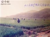 河北省,秦皇岛市,抚宁区,抚宁镇,南望庄村