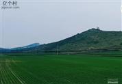 四台村 