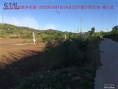 辽宁省,朝阳市,龙城区,半拉山街道,半拉山村