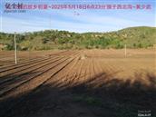 辽宁省,朝阳市,龙城区,半拉山街道,半拉山村