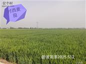 北五夫村 
