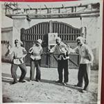 山东省,济宁市,嘉祥县,纸坊镇,西焦村
