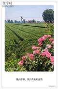 河北省,保定市,唐县,长古城乡,东足里村