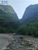 桦树村 