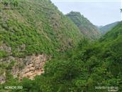 桦树村 