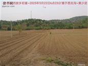 辽宁省,朝阳市,龙城区,半拉山街道,半拉山村