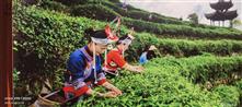粗砻村 