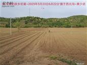 辽宁省,朝阳市,龙城区,半拉山街道,半拉山村