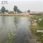 山东省,潍坊市,高密市,朝阳街道,李家疃村