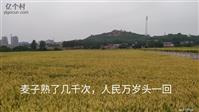河北省,石家庄市,赞皇县,赞皇镇,北沟村