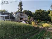 四川省,遂宁市,射洪市,金华镇,四垭村