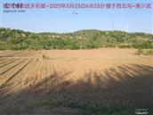 辽宁省,朝阳市,龙城区,半拉山街道,半拉山村
