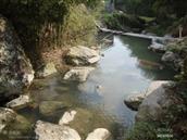 浙江省,丽水市,莲都区,峰源乡,横坑村