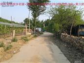 辽宁省,朝阳市,龙城区,半拉山街道,半拉山村