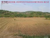 辽宁省,朝阳市,龙城区,半拉山街道,半拉山村