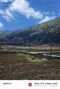 西岩村 2025.2.28 骑行西岩村