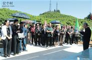 重庆市,江津区,白沙镇,柿子村