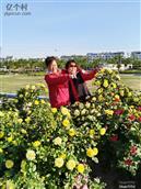 山东省,滨州市,滨城区,滨北街道,姑子庵村
