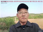 辽宁省,朝阳市,龙城区,半拉山街道,半拉山村