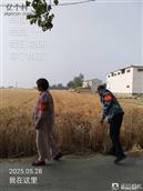 河南省,开封市,通许县,四所楼镇,后罗村