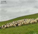 内蒙古,兴安盟,科尔沁右翼前旗,阿力得尔苏木乡,复兴村