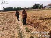 河南省,开封市,通许县,四所楼镇,后罗村