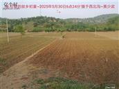 辽宁省,朝阳市,龙城区,半拉山街道,半拉山村