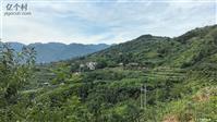 重庆市,巫山县,官渡镇,竹林村