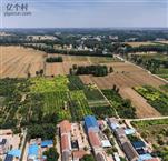 河南省,新乡市,原阳县,蒋庄乡,拐河朱林场