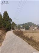 四川省,绵阳市,盐亭县,玉龙镇,钟沟村