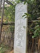 云南省,临沧市,凤庆县,凤山镇,安石村