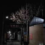 河北省,保定市,容城县,南张镇,西野桥村