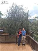 云南省,临沧市,凤庆县,凤山镇,安石村