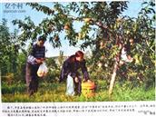 山西省,阳泉市,平定县,东回镇,七亘村