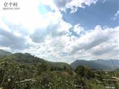 云南省,临沧市,凤庆县,凤山镇,安石村