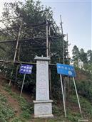云南省,临沧市,凤庆县,凤山镇,安石村