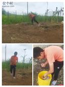 广东省,阳江市,江城区,埠场镇,那蓬村