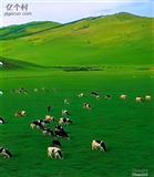 内蒙古,锡林郭勒盟,东乌珠穆沁旗,萨麦苏木,霍尔其格嘎查