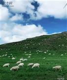 内蒙古,锡林郭勒盟,东乌珠穆沁旗,萨麦苏木,霍尔其格嘎查