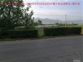 辽宁省,朝阳市,龙城区,半拉山街道,半拉山村