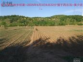 辽宁省,朝阳市,龙城区,半拉山街道,半拉山村