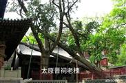 河北省,石家庄市,赞皇县,赞皇镇,北沟村